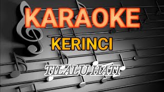 Karaoke Lagu Kerinci | TILALU HATI