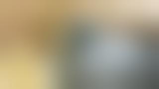 Apa jadinya kalau anak ayam di asuh burung merpati?