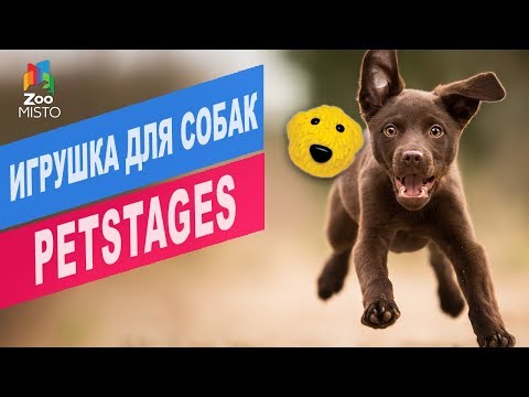 Игрушка для собак PETSTAGES| Обзор игрушки для собак PETSTAGES