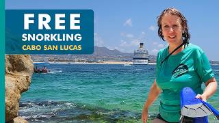 Don’t Book Cabo Excursions Until You See This DIY Snorkeling Spot Near the Marina!