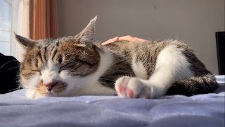 Download lagu Sunbathing