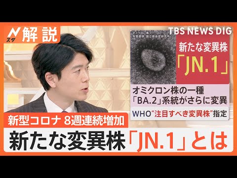 新たなコロナ変異株「JN.1」は怖い？「症状は今までと同じ」「恐れることはない」と専門家【Nスタ解説】｜TBS NEWS DIG