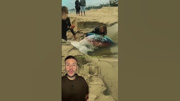 Eles abriram um canal por brincadeira… e acabaram secando um rio inteiro