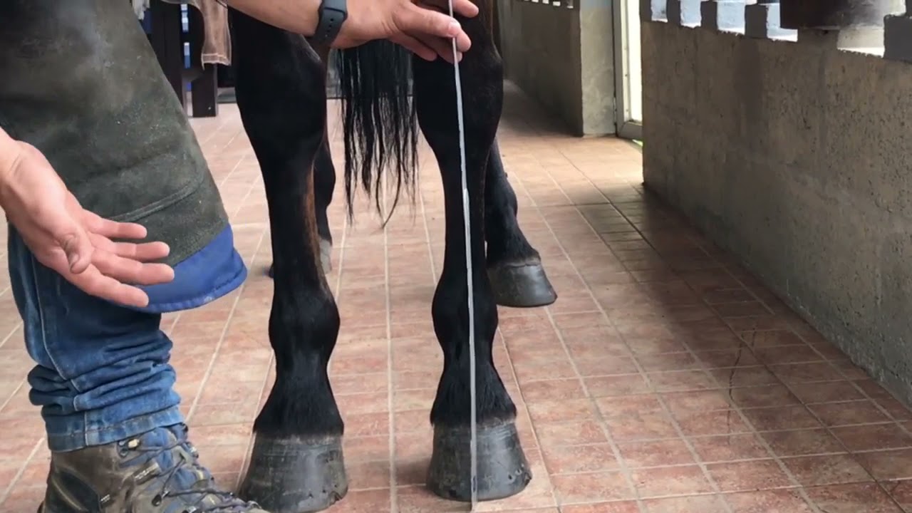 Parte 1 clínica de Edwin García