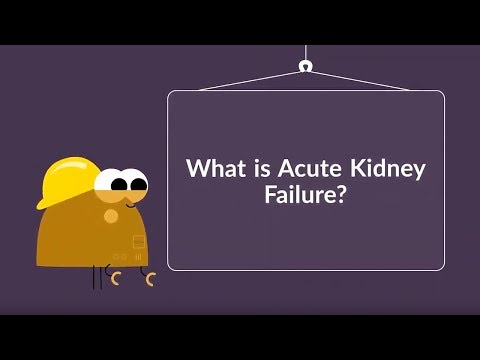 What is Acute Kidney Failure? (Symptoms, Causes, Treatment & Prevention)