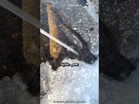 وجد سيفا أسطوريا صنعته الطبيعة 