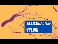 ¿Qué es el Helicobacter pylori?