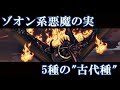 ワンピース　ゾオン系悪魔の実　5種の"古代種"　　※一部考察含む
