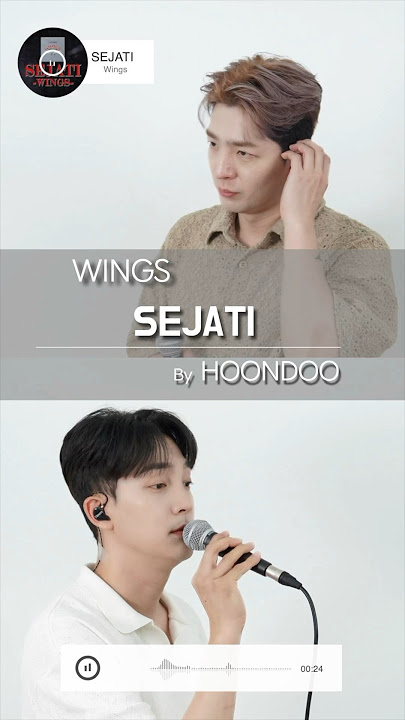 [COVER] ‘SEJATI(MY Ver.)’ - ‘WINGS’ by HoonDoo
