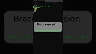 5 Bash Tricks That Save Hours ⚡ 2 Examples Each #linux #bash #shorts