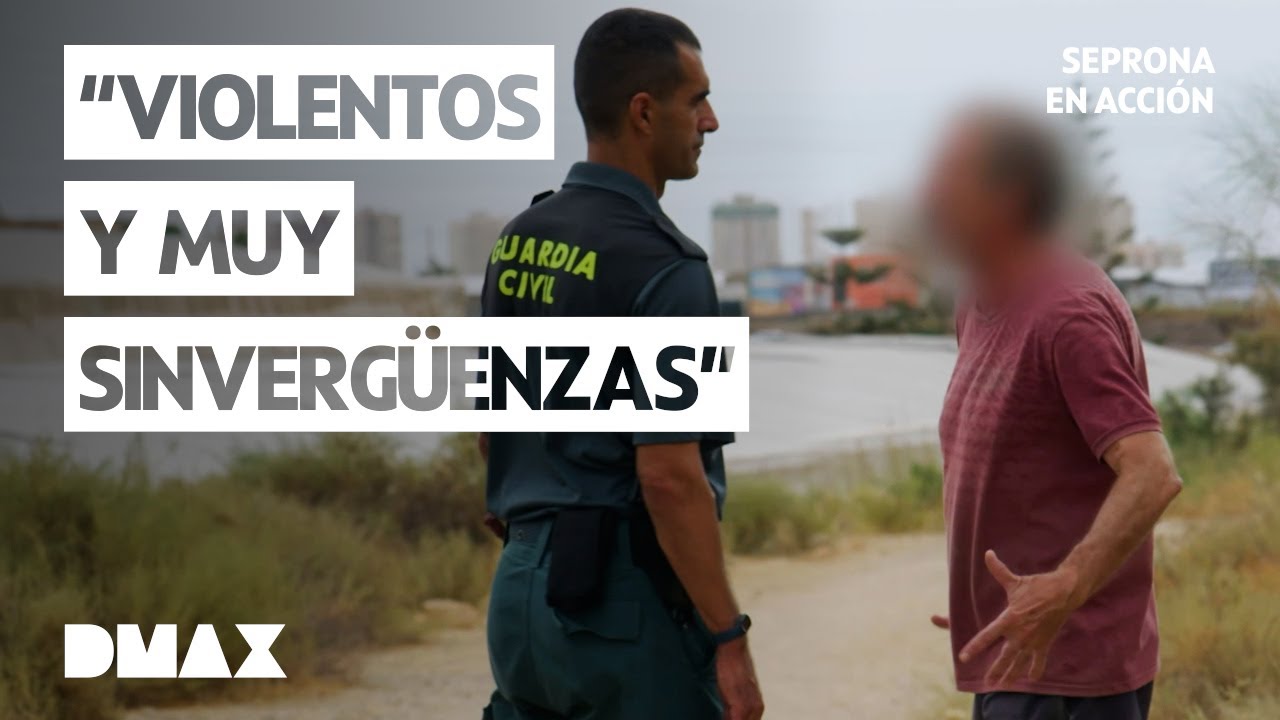 TOP 5 Delitos en España contra la Fauna | Seprona en acción