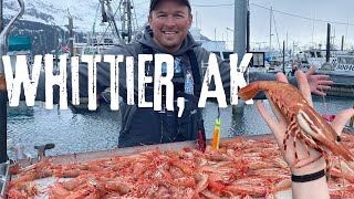 Shrimping and Fishing out of Whittier, Alaska!!