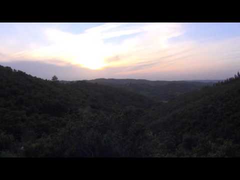 The Space of What Is ~ A Guided Meditation with Mooji