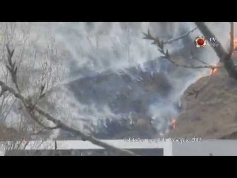 1 19 ხანძარი დიღმის მასივში