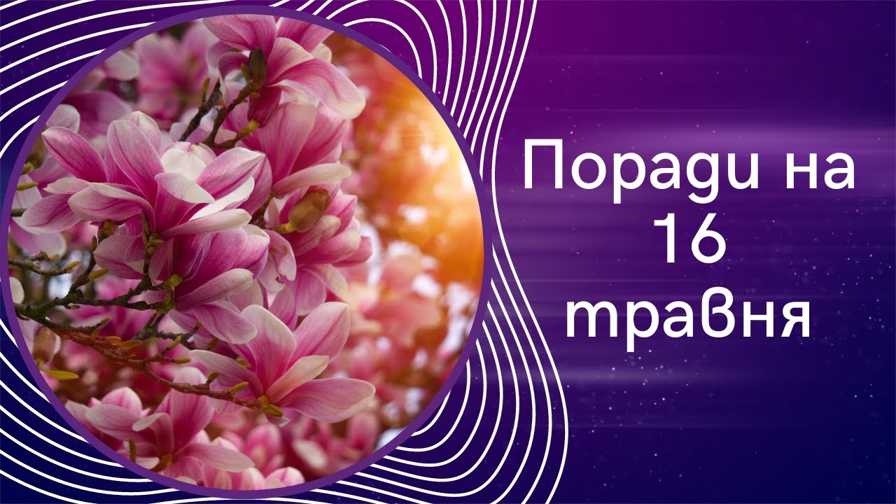 Поради від Марії Левченко на 16 травня - YouTube