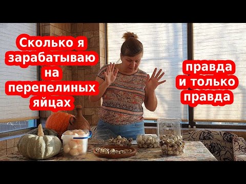 СКОЛЬКО Я ЗАРАБАТЫВАЮ НА ПЕРЕПЕЛИНЫХ ЯЙЦАХ