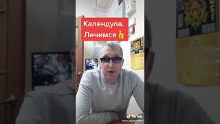 КАЛЕНДУЛА В ПОМОЩЬ.