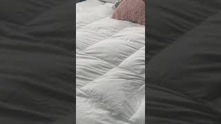 APSMILE King Size Down Comforters