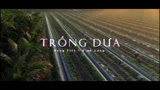 Ra đồng trồng dưa - Mang Thít - Vĩnh Long by Flycam 4k