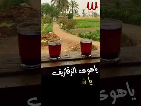 ياهوى الزقازيق يا شرقاوى شفيقة