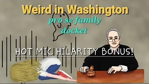 Weird Washington - Pro Se Family Docket - Hot Mic ...