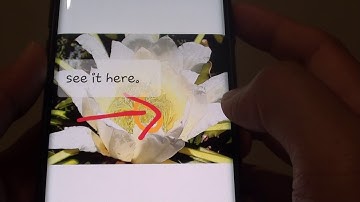 Samsung Galaxy S9: Turn On Show Date and Location Tags in Gallery