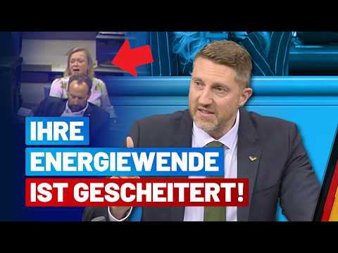 Windkraft scheitert ohne Staatsmilliarden! - Dirk Brandes - AfD-Fraktion im Bundestag
