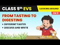 Different Tastes &amp; Discuss &amp; Write - From Tasting to Digesting | Class 5 Environmental Studies Ch 3