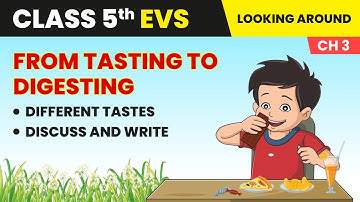 Different Tastes & Discuss & Write - From Tasting to Digesting | Class 5 Environmental Studies Ch 3