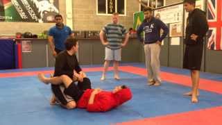 IMG 1792