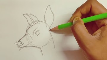 How to draw Animal Faces (Class 7th)