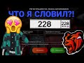 ЛОВЛЮ БЛАТНЫЕ НОМЕРНЫЕ ЗНАКИ😌 | БЛЕК РАША🐻