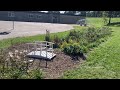 Goodland Montessori rain garden