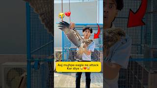 Aaj mujhpe eagle ne attack kar diya 😭💔😱 #minivlog #viral #shorts