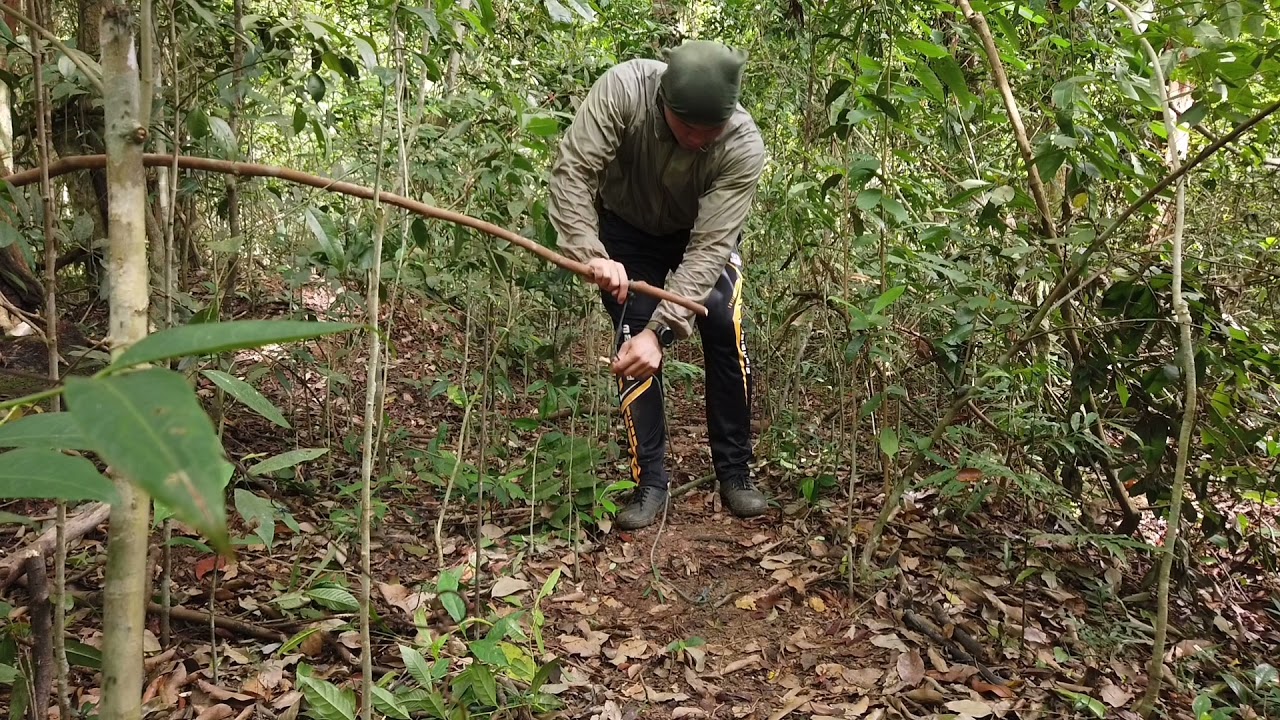 SURVIVAL SKILL- cara buat jerat, paling mudah dan berkesan [the easiest and most effective trap]