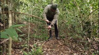 SURVIVAL SKILL- cara buat jerat, paling mudah dan berkesan [the easiest and most effective trap]