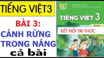 BÀI 3: CÁNH RỪNG TRONG NẮNG |MÔN TIẾNG VIỆT 3| SÁCH KẾT NỐI TRI THỨC VỚI CUỘC SỐNG