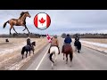 Protesters Arriving In Ottawa On Horseback!