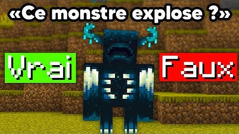 J'ai fait passer un Quizz Minecraft à 100 Noobs..