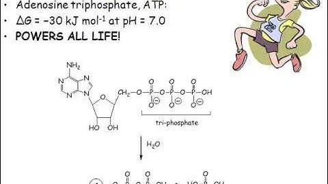 Phosphate chemistry