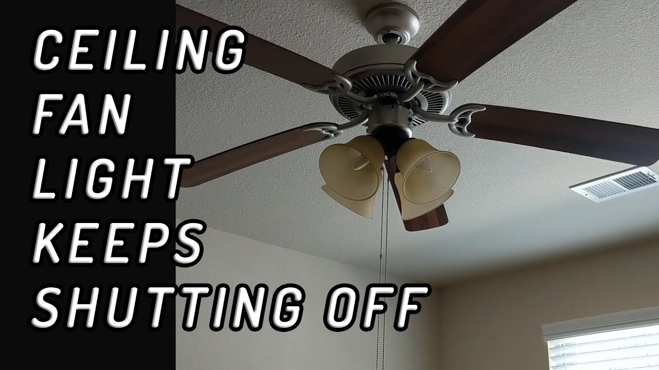 Ceiling Fan Lights Won T Stay On You