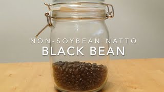 Black Bean NonSoybean Natto Series
