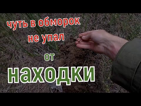 Бейне: Ең қымбат металл детекторы: ең жақсы үлгілерге шолу, техникалық сипаттамалар, шолулар