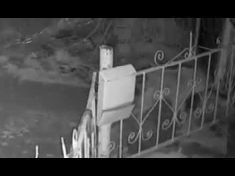 YouTube видео