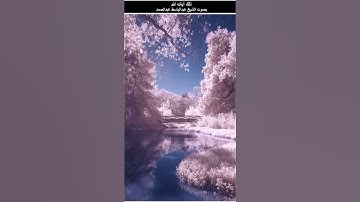 ولقد أنزلنا إليك آيات بينات وما يكفر بها إلا الفاسقون = البقرة آية 99 #عبدالباسط_عبدالصمد