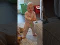 Toddler Receives Kisses From Dog While Playing Doctor With Him