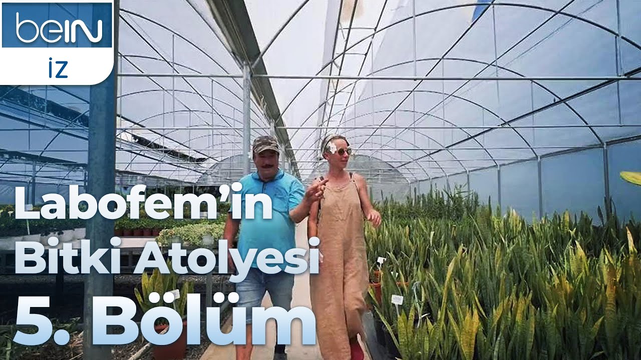 Labofem'in Bitki Atölyesi 5. Bölüm