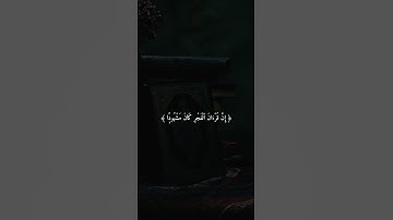 اكتب شيء تؤجر عليه 😴🤍 | قران كريم  | القارئ فارس عباد