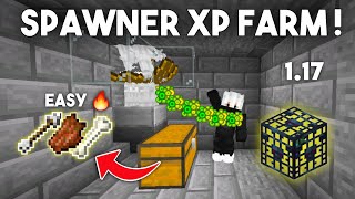 EASY Zombie/Skeleton Mob Spawner XP Farm 1.17 Minecraft Java/Bedrock Edition | MCPE, PS4, XBOX, PC |