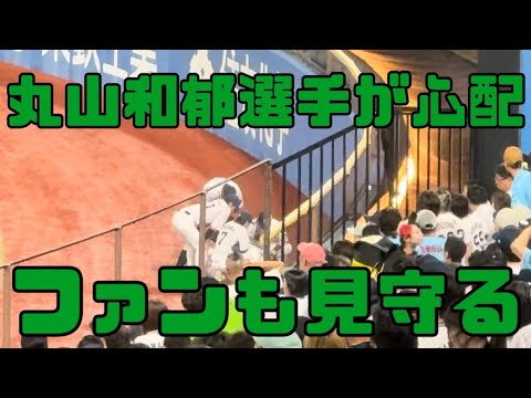 大丈夫かな？フェンスにあたりながらキャッチの後、丸山和郁選手のがんばりをファンはしってるよ（2024年5月22日）